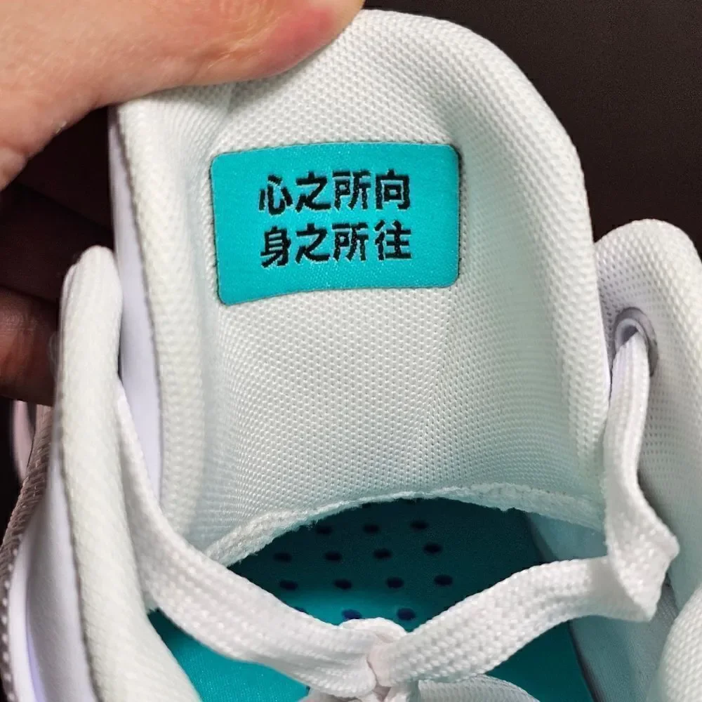 Nike Air Jordan XXXVI 36 Low PF Guo Ailun Women's 10 Silver Jade DM9032-130 Shoe